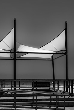 AdelaideCatch-5965-2_1.jpg