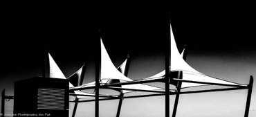AdelaideCatch-5976-4_1