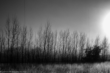 BW9-.jpg