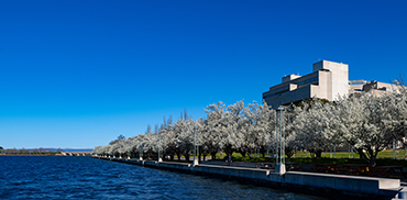Canberra Spring