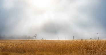 Fog Lifting