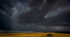 PYE_6990-2