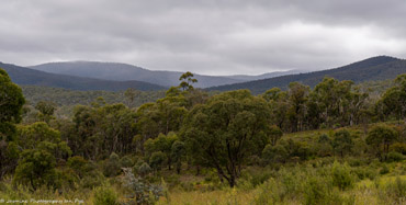 QueanbeyanRiver--2