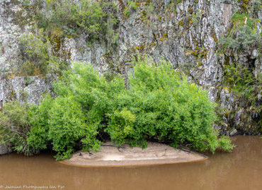 QueanbeyanRiver--3