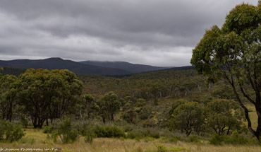 QueanbeyanRiver-5011