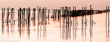 ThailandSun-4798-2